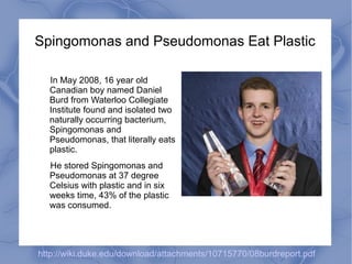 Spingomonas and Pseudomonas Eat Plastic

  In May 2008, 16 year old
  Canadian boy named Daniel
  Burd from Waterloo Collegiate
  Institute found and isolated two
  naturally occurring bacterium,
  Spingomonas and
  Pseudomonas, that literally eats
  plastic.
  He stored Spingomonas and
  Pseudomonas at 37 degree
  Celsius with plastic and in six
  weeks time, 43% of the plastic
  was consumed.




http://wiki.duke.edu/download/attachments/10715770/08burdreport.pdf
 