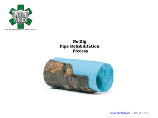 No-Dig
Pipe Rehabilitation
      Process




                      www.PipeMD.com 1-888-314-7473
 