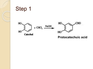 Step 1
Protocatechuic acid
 