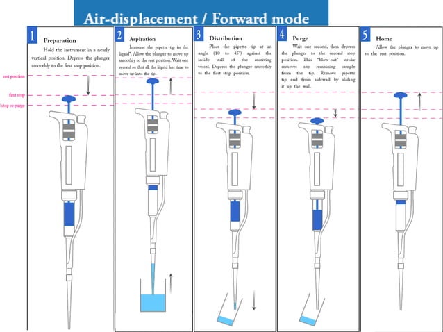 Pipette 23.6.13 for windows download Pipette 23.6.13 for windows download