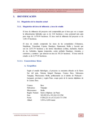 PIP:
“INSTALACIÓN DEL SERVICIO DE AGUA DEL SISTEMA DE RIEGO TECNIFICADO HUARIJUYO EN
EL DISTRITO DE PICHACANI – LARAQUERI, PROVINCIA Y REGIÓN PUNO”
GOBIERNO REGIONALPUNO | PRORRIDRE 47
3. IDENTIFICACIÓN
3.1. Diagnóstico de la situación actual
3.1.1. Diagnóstico del área de influencia y área de estudio
El área de influencia del proyecto está comprendida por el área que vva a ocupar
la infraestructura hidráulica que es de 2.64 hectáreas y área potencial neta apta
para riego de 1,478.89 hectáreas. El área total de influencia del proyecto es de
1,481.53 hectáreas.
El área de estudio comprende las áreas de las comunidades (Tolamarca,
Huaylloma, Vizcachuni, Cajsata, Huarijuyo, Huancarani, Molla y Laconi) que
son de 2,073.79 hectáreas y las tierras misceláneas (colinas, riachuelos, bancos
de rio, bofedales, lagunas temporales, centro poblado Huarijuyo, viviendas, y
carreteras y caminos) que abarcan un área de 303.26 hectáreas. El área total de
estudio es de 2,377.05 hectáreas.
3.1.1.1. Características físicas
A. Geográficas
Según el estudio hidrológico, el proyecto se encuentra ubicado en la Sierra
Sur del país, Sistema Integral Huenque, Cuenca Ilave, Subcuenca
Tunquipa, Microcuenca Molla, políticamente en el distrito de Pichacani –
Laraqueri, provincia y región Puno, ocupa parte de la meseta altiplánica de
la Cuenca Ilave.
Cuenca: Ilave
Subcuenca: Tunquipa
Microcuenca: Molla
Región Natural: Sierra (Altiplano de Puno)
Este: 385,995.93 a 393,563.19 UTM
Norte: 8’200,223.16 a 8’212,623.73 UTM
Altitud: 3,954 a 4,056 msnm
 