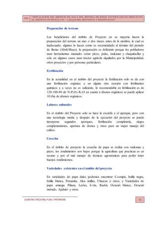 PIP:
“INSTALACIÓN DEL SERVICIO DE AGUA DEL SISTEMA DE RIEGO TECNIFICADO HUARIJUYO EN
EL DISTRITO DE PICHACANI – LARAQUERI, PROVINCIA Y REGIÓN PUNO”
GOBIERNO REGIONALPUNO | PRORRIDRE 73
Preparación de terreno
Los beneficiarios del ámbito de Proyecto en su mayoría hacen la
preparación del terreno un mes o dos meses antes de la siembra, lo cual es
inadecuado, algunos lo hacen como es recomendado al término del periodo
de lluvias (Abril-Mayo), la preparación es deficiente porque los pobladores
usan herramientas manuales como picos, palas, raukanas y chaquitacllas y
solo en algunos casos usan tractor agrícola alquilados por la Municipalidad,
otros proyectos y por personas particulares.
Fertilización
En la actualidad en el ámbito del proyecto la fertilización solo se da con
una fertilización orgánica y en alguna otra ocasión con fertilizantes
químicos y a veces no es suficiente, lo recomendable en fertilización es de
120-100-80 de N-P2O5-K2O en cuanto a abonos orgánicos se puede aplicar
10 t/ha de abonos orgánicos.
Labores culturales
En el ámbito del Proyecto solo se hace la escarda y el aporque, pero con
una tecnología media y después de la ejecución del proyecto se puede
incorporar segundos aporques, fertilización completaría, riegos
complementarios, apertura de drenes y otros para un mejor manejo del
cultivo.
Cosecha
En el ámbito de proyecto la cosecha de papa se realiza con raukanas y
picos; los rendimientos son bajos porque la agricultura que practican es en
secano y por el mal manejo de técnicas agronómicas para poder tener
buenos rendimientos.
Variedades existentes en el ámbito del proyecto
En variedades de papa dulce podemos encontrar: Ccompis, Imilla negra,
Imilla blanca, Peruanita, Alca imillas, Chascas y otros; y Variedades de
papa amarga: Piñaza, Locka, k`eta, Ruckii, Ocucuri blanco, Ocucuri
morado, Ajahuiri y otros.
 
