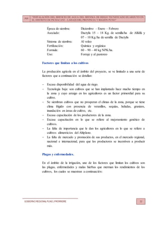 PIP:
“INSTALACIÓN DEL SERVICIO DE AGUA DEL SISTEMA DE RIEGO TECNIFICADO HUARIJUYO EN
EL DISTRITO DE PICHACANI – LARAQUERI, PROVINCIA Y REGIÓN PUNO”
GOBIERNO REGIONALPUNO | PRORRIDRE 77
Época de siembra: Diciembre – Enero – Febrero
Asociado: Dactylis 15 – 18 Kg. de semilla/ha de Alfalfa y
07 – 10 Kg./ha de semilla de Dactylis
Sistema de siembra: Al voleo
Fertilización: Química y orgánica
Formula: 60 – 90 – 40 kg NPK/ha.
Uso: Forraje y al pastoreo
Factores que limitan a los cultivos
La producción agrícola en el ámbito del proyecto, se ve limitado a una serie de
factores que a continuación se detallan:
 Escasa disponibilidad del agua de riego.
 Tecnología baja: son cultivos que se han implantado hace mucho tiempo en
la zona y cuyo arraigo en los agricultores es un factor primordial para su
cultivo.
 Se siembran cultivos que no prosperan el climas de la zona, porque se tiene
clima frígido con presencia de veranillos, sequías, heladas, granizos,
inundación en áreas de cultivo, etc.
 Escasa capacitación de los productores de la zona.
 Escasa capacitación en lo que se refiere al mejoramiento genético de
cultivos.
 La falta de importancia que le dan los agricultores en lo que se refiere a
cultivos alimenticios del Altiplano.
 La falta de mercado y promoción de sus productos, en el mercado regional,
nacional e internacional, para que los productores se incentiven a producir
más.
Plagas y enfermedades.
En el ámbito de la irrigación, uno de los factores que limitan los cultivos son
las plagas, enfermedades y malas hierbas que merman los rendimientos de los
cultivos, los cuales se muestran a continuación:
 