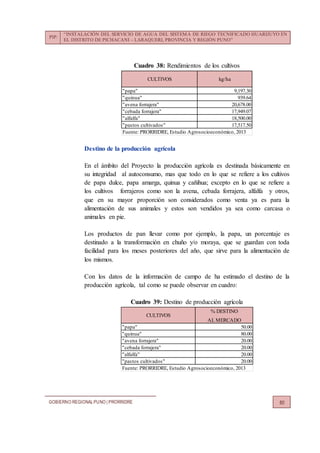 PIP:
“INSTALACIÓN DEL SERVICIO DE AGUA DEL SISTEMA DE RIEGO TECNIFICADO HUARIJUYO EN
EL DISTRITO DE PICHACANI – LARAQUERI, PROVINCIA Y REGIÓN PUNO”
GOBIERNO REGIONALPUNO | PRORRIDRE 80
Cuadro 38: Rendimientos de los cultivos
Destino de la producción agrícola
En el ámbito del Proyecto la producción agrícola es destinada básicamente en
su integridad al autoconsumo, mas que todo en lo que se refiere a los cultivos
de papa dulce, papa amarga, quinua y cañihua; excepto en lo que se refiere a
los cultivos forrajeros como son la avena, cebada forrajera, alfalfa y otros,
que en su mayor proporción son considerados como venta ya es para la
alimentación de sus animales y estos son vendidos ya sea como carcasa o
animales en pie.
Los productos de pan llevar como por ejemplo, la papa, un porcentaje es
destinado a la transformación en chuño y/o moraya, que se guardan con toda
facilidad para los meses posteriores del año, que sirve para la alimentación de
los mismos.
Con los datos de la información de campo de ha estimado el destino de la
producción agrícola, tal como se puede observar en cuadro:
Cuadro 39: Destino de producción agrícola
"papa" 9,197.30
"quinua" 939.64
"avena forrajera" 20,678.00
"cebada forrajera" 17,949.07
"alfalfa" 18,500.00
"pastos cultivados" 17,517.50
Fuente: PRORRIDRE, Estudio Agrosocioeconómico, 2013
CULTIVOS kg/ha
% DESTINO
AL MERCADO
"papa" 50.00
"quinua" 80.00
"avena forrajera" 20.00
"cebada forrajera" 20.00
"alfalfa" 20.00
"pastos cultivados" 20.00
Fuente: PRORRIDRE, Estudio Agrosocioeconómico, 2013
CULTIVOS
 