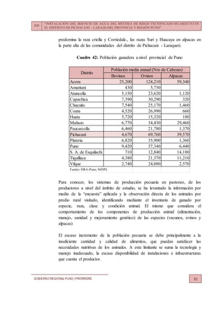 PIP:
“INSTALACIÓN DEL SERVICIO DE AGUA DEL SISTEMA DE RIEGO TECNIFICADO HUARIJUYO EN
EL DISTRITO DE PICHACANI – LARAQUERI, PROVINCIA Y REGIÓN PUNO”
GOBIERNO REGIONALPUNO | PRORRIDRE 83
predomina la raza criolla y Corriedale., las razas Suri y Huacaya en alpacas en
la parte alta de las comunidades del distrito de Pichacani - Laraqueri.
Cuadro 42: Población ganadera a nivel provincial de Puno
Para conocer, los sistemas de producción pecuaria en pastoreo, de los
productores a nivel del ámbito de estudio, se ha levantado la información por
medio de la “encuesta” aplicada y la observación directa de los animales por
predio rural visitado, identificando mediante el inventario de ganado por
especie, raza, clase y condición animal. El mismo que considera el
comportamiento de los componentes de producción animal (alimentación,
manejo, sanidad y mejoramiento genético) de las especies (vacunos, ovinos y
alpacas)
El escaso incremento de la población pecuaria se debe principalmente a la
insuficiente cantidad y calidad de alimentos, que puedan satisfacer las
necesidades nutritivas de los animales. A esta limitante se suma la tecnología y
manejo inadecuado, la escasa disponibilidad de instalaciones e infraestructuras
que cuenta el productor.
Bovinos Ovinos Alpacas
Acora 25,200 124,210 59,340
Amantani 430 5,730
Atuncolla 5,150 23,620 1,120
Capachica 7,390 30,290 320
Chucuito 7,540 25,170 1,460
Coata 4,520 26,990 660
Huata 5,720 15,320 180
Mañazo 6,770 34,430 29,460
Paucarcolla 6,460 21,780 1,370
Pichacani 4,670 69,760 39,570
Plateria 6,820 35,900 1,360
Puno 9,420 37,340 6,440
S. A. de Esquilachi 710 12,840 14,180
Tiquillaca 4,380 21,370 11,210
Vilque 2,740 24,080 2,570
Fuente: DRA-Puno, MDPL
Distrito
Población media annual (Nro de Cabezas)
 
