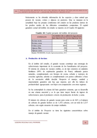 PIP:
“INSTALACIÓN DEL SERVICIO DE AGUA DEL SISTEMA DE RIEGO TECNIFICADO HUARIJUYO EN
EL DISTRITO DE PICHACANI – LARAQUERI, PROVINCIA Y REGIÓN PUNO”
GOBIERNO REGIONALPUNO | PRORRIDRE 85
básicamente se ha obtenido información de las especies y clase animal que
poseen de vacuno, ovinos y alpacas en pastoreo. Que se manejan en la
actualidad bajo las propias condiciones del criador en las praderas nativas de
los predios rurales de las diferentes comunidades campesinas. El capital
ganadero actual del ámbito de estudio se muestra en el Cuadro 44 siguiente:
Cuadro 44: Capital pecuario del ámbito del proyecto
A. Producción de bovinos
En al ámbito del estudio, el ganado vacuno constituye una estrategia de
sobrevivencia importante de la economía de los beneficiarios del proyecto.
El sistema de crianza de vacunos criollos, es de tipo extensivo en unidades
familiares (88% de explotación ganadera de Puno), utilizando pastos
naturales, complementado con forrajes de avena, cebada y rastrojos de
cosechas agrícolas; además es complementado con pastos cultivados a base
de la asociación alfalfa dactylis. Respecto al manejo, sanidad y
mejoramiento ganadero aún hay que mejorar, por ello los índices de
productividad agropecuaria son bajos con comparación con otras regiones.
Se ha contemplado la crianza del hato ganadero existente, que se desarrolla
en una crianza ancestral y es la que tiene mayor fuente de ingreso de
sobrevivencia para el productor a través de producción de leche y carne.
El número de cabezas de ganado vacuno para carne es de 665 y el número
de cabezas de ganado lechero es de 1,552 cabezas, con un total de 2,217
cabezas, esto según encuesta de campo realizado.
En el ámbito de Proyecto se tiene las siguientes características sobre
manejo de ganado vacuno:
SIN PROYECTO CON PROYECTO
Bovinos leche 1552 4145
Bovinos carne 665 1777
Ovinos carne 8664 10048
Alpacas fibra 496 998
Alpacas carne 774 1498
Fuente: PRORRIDRE, Estudio Agrosocioeconómico, 2013
ANIMALES
NUMERO DE CABEZAS (kg/cabeza)
 