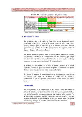 PIP:
“INSTALACIÓN DEL SERVICIO DE AGUA DEL SISTEMA DE RIEGO TECNIFICADO HUARIJUYO EN
EL DISTRITO DE PICHACANI – LARAQUERI, PROVINCIA Y REGIÓN PUNO”
GOBIERNO REGIONALPUNO | PRORRIDRE 88
Cuadro 45: Calendario zootécnico del ganado bovino
B. Producción de ovinos
La ganadería ovina en la región de Puno tiene enorme importancia social,
económica y ecológica. En Puno los ovinos producen lana, carne, leche,
pieles y estiércol para la agricultura y es el sustento económico para los
pobladores del ámbito de estudio, representando la segunda fuente de
ingresos después del vacuno y alpacas.
La crianza actual del ganado ovino es una actividad orientada al cuidado
del rebaño, fomentando la multiplicación de los animales que mejor
satisfacen las expectativas de producción tanto en carne como en lana y
para auto consumo y comercialización de los excedentes.
El régimen de alimentación es a base de pastos naturales y de pastos
cultivados, durante la época de escasez de pastos se alimentan con algunos
forrajes, como pueden ser la avena y la cebada forrajera.
El Número de cabezas de ganado ovino es de 8,664 cabezas en el ámbito
del estudio, esto según las encuestas de campo que se realizó, a
continuación se da las siguientes características sobre manejo de ganado
ovino:
Alimentación
La base principal de la alimentación de los ovinos a nivel del ámbito de
estudio la constituye el pasto natural a través del pastoreo, complementado
por las hierbas de los terrenos en descanso que pudieran haber brotado. Por
lo general los productores acceden a áreas de pastoreo comunal, existiendo
algunos productores de estrato medio a alto que poseen áreas con pastos
mejorados y rastrojos de cosechas como complemento alimenticio.
Actividades Ene Feb Mar Abr May Jun Jul Ago Sep Oct Nov Dic
Parición > > > < < <
Empadre > > > < < <
Baños Antiparasitarios > > > < <
Dosis Antiparasitaria < < <
Arreglo de Corrales < < <
Elaboración de Quesos > > > > <
> <Mayor Frecuencia Menor Frecuencia
Fuente: PRORRIDRE, Estudio Agrosocioeconómico, 2013
 
