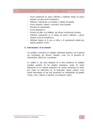 PIP:
“INSTALACIÓN DEL SERVICIO DE AGUA DEL SISTEMA DE RIEGO TECNIFICADO HUARIJUYO EN
EL DISTRITO DE PICHACANI – LARAQUERI, PROVINCIA Y REGIÓN PUNO”
GOBIERNO REGIONALPUNO | PRORRIDRE 93
 Escasa producción de pastos cultivados y deficiente manejo de pastos
naturales por parte de los beneficiarios.
 Deficiente capacitación en el manejo y cuidado del ganado.
 Escasa asistencia sanitaria y preventiva para el ganado.
 Presencia de enfermedades.
 Escasa alimentación.
 Factores de clima en el altiplano que afectan la producción pecuaria.
 Deficiente capacitación en el manejo de pastos cultivados y pastos
naturales hacia los beneficiarios.
 Deficiente manejo en lo que se refiere a la reproducción animal para
mejoras genéticas u otros.
E. Enfermedades de los animales
Las pérdidas económicas en cualquier explotación ganadera, por lo general
son ocasionadas por factores sanitarios, como son la presencia de
enfermedades infecciosas y parasitarias.
La sanidad es una parte integrante de la base productiva de cualquier
actividad ganadera de los animales domésticos; siendo de mayor
importancia en los sistemas productivos de vacunos productoras de leche;
por cuanto las alteraciones de un inadecuado manejo sanitario, estos
inciden directamente en una baja producción; las enfermedades del ganado
vacuno, ovino y alpacas se muestran en el siguiente cuadro:
 