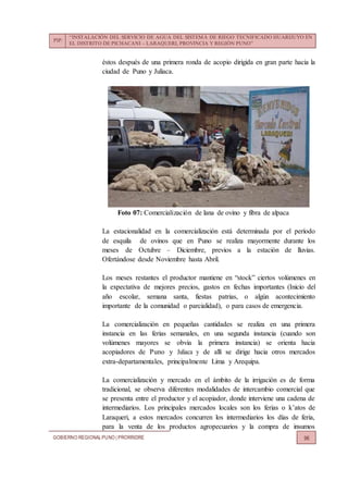 PIP:
“INSTALACIÓN DEL SERVICIO DE AGUA DEL SISTEMA DE RIEGO TECNIFICADO HUARIJUYO EN
EL DISTRITO DE PICHACANI – LARAQUERI, PROVINCIA Y REGIÓN PUNO”
GOBIERNO REGIONALPUNO | PRORRIDRE 96
éstos después de una primera ronda de acopio dirigida en gran parte hacia la
ciudad de Puno y Juliaca.
Foto 07: Comercialización de lana de ovino y fibra de alpaca
La estacionalidad en la comercialización está determinada por el período
de esquila de ovinos que en Puno se realiza mayormente durante los
meses de Octubre – Diciembre, previos a la estación de lluvias.
Ofertándose desde Noviembre hasta Abril.
Los meses restantes el productor mantiene en “stock” ciertos volúmenes en
la expectativa de mejores precios, gastos en fechas importantes (Inicio del
año escolar, semana santa, fiestas patrias, o algún acontecimiento
importante de la comunidad o parcialidad), o para casos de emergencia.
La comercialización en pequeñas cantidades se realiza en una primera
instancia en las ferias semanales, en una segunda instancia (cuando son
volúmenes mayores se obvia la primera instancia) se orienta hacia
acopiadores de Puno y Juliaca y de allí se dirige hacia otros mercados
extra-departamentales, principalmente Lima y Arequipa.
La comercialización y mercado en el ámbito de la irrigación es de forma
tradicional, se observa diferentes modalidades de intercambio comercial que
se presenta entre el productor y el acopiador, donde interviene una cadena de
intermediarios. Los principales mercados locales son los ferias o k’atos de
Laraqueri, a estos mercados concurren los intermediarios los días de feria,
para la venta de los productos agropecuarios y la compra de insumos
 