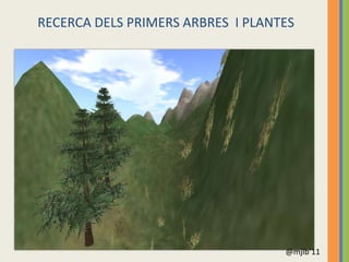 RECERCA DELS PRIMERS ARBRES I PLANTES




                                   @mjlb’11
 