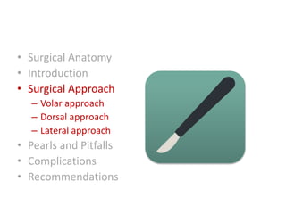 • Surgical Anatomy
• Introduction
• Surgical Approach
– Volar approach
– Dorsal approach
– Lateral approach
• Pearls and Pitfalls
• Complications
• Recommendations
 