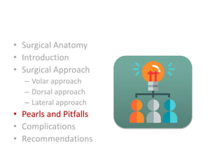 • Surgical Anatomy
• Introduction
• Surgical Approach
– Volar approach
– Dorsal approach
– Lateral approach
• Pearls and Pitfalls
• Complications
• Recommendations
 