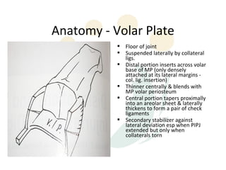 Anatomy - Volar Plate
            Floor of joint
            Suspended laterally by collateral
             ligs.
            Distal portion inserts across volar
             base of MP (only densely
             attached at its lateral margins -
             col. lig. insertion)
            Thinner centrally & blends with
             MP volar periosteum
            Central portion tapers proximally
             into an areolar sheet & laterally
             thickens to form a pair of check
             ligaments
            Secondary stabilizer against
             lateral deviation esp when PIPJ
             extended but only when
             collaterals torn
 