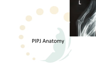 PIPJ Anatomy
 