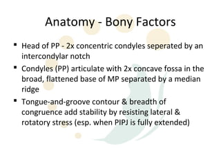 Anatomy - Bony Factors
 Head of PP - 2x concentric condyles seperated by an
  intercondylar notch
 Condyles (PP) articulate with 2x concave fossa in the
  broad, flattened base of MP separated by a median
  ridge
 Tongue-and-groove contour & breadth of
  congruence add stability by resisting lateral &
  rotatory stress (esp. when PIPJ is fully extended)
 