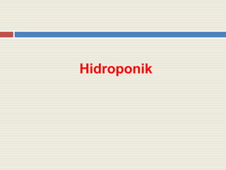 Hidroponik
 