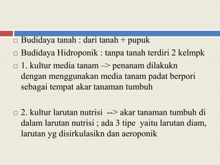  Budidaya tanah : dari tanah + pupuk
 Budidaya Hidroponik : tanpa tanah terdiri 2 kelmpk
 1. kultur media tanam –> penanam dilakukn
dengan menggunakan media tanam padat berpori
sebagai tempat akar tanaman tumbuh
 2. kultur larutan nutrisi --> akar tanaman tumbuh di
dalam larutan nutrisi ; ada 3 tipe yaitu larutan diam,
larutan yg disirkulasikn dan aeroponik
 