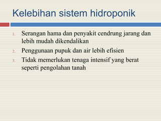 Kelebihan sistem hidroponik
1. Serangan hama dan penyakit cendrung jarang dan
lebih mudah dikendalikan
2. Penggunaan pupuk dan air lebih efisien
3. Tidak memerlukan tenaga intensif yang berat
seperti pengolahan tanah
 