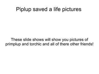 Piplup saved a life pictures  These slide shows will show you pictures of primplup and torchic and all of there other friends! 