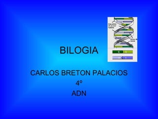 BILOGIA CARLOS BRETON PALACIOS 4º ADN 