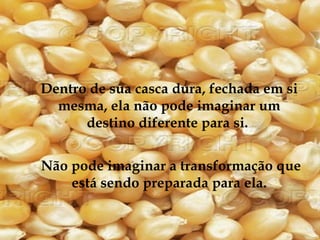 Dentro de sua casca dura, fechada em si
  mesma, ela não pode imaginar um
      destino diferente para si.


Não pode imaginar a transformação que
    está sendo preparada para ela.
 