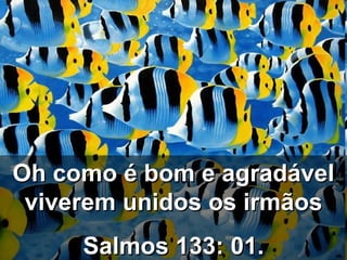 Oh como é bom e agradável viverem unidos os irmãos Salmos 133: 01. 