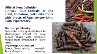 Pippali (Piper Longum) Family- Piperceae | PPTX