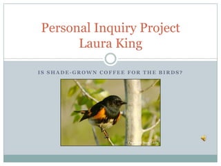 Personal Inquiry Project
      Laura King

IS SHADE-GROWN COFFEE FOR THE BIRDS?
 