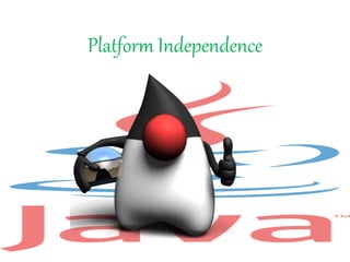 Platform Independence
 