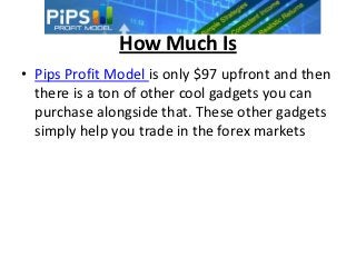 How Much Is
• Pips Profit Model is only $97 upfront and then
  there is a ton of other cool gadgets you can
  purchase alongside that. These other gadgets
  simply help you trade in the forex markets
 
