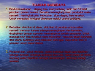 TUJUAN BUDIDAYA
1. Produksi makanan : daging ikan menyumbang lebih dari 15 total
  pasokan protein hewani. Semakin meningkat jumlah penduduk maka
  semakin meningkat pula kebutuhan akan daging ikan tersebut.
  Untuk mengatasi ini dapat dilakukan melalui usaha budidaya.


2. Perbaikan stok ikan di alam, stok ikan di perairan umum selau
  semakin menurun karena adanya penangkapan dan kematian,
  disebabkan dengan semakin meningkatnya jumlah penduduk. Untuk
  menjaga stok ikan tersebut maka kebutuhan manusia dapat diperoleh
  dari usaha budidaya yang dilakukan sehingga kepunahan ikan di
  perairan umum dapat diatasi.


3. Produkai ikan untuk rekreasi, usaha budidaya dapat juga dijadikan
  sebagai rekreasi misalnya budidaya ikan mas dalam kolam air deras
  (running water) dijadikan sebagai pemancingan berfungsi sebagi
  rekreasi
 