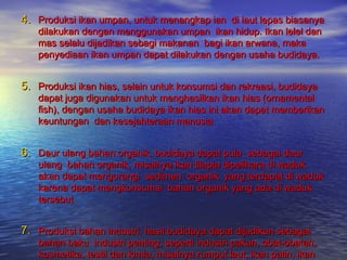 4. Produksi ikan umpan, untuk menangkap ian di laut lepas biasanya
   dilakukan dengan menggunakan umpan ikan hidup. Ikan lelel dan
   mas selalu dijadikan sebagi makanan bagi ikan arwana, maka
   penyediaan ikan umpan dapat dilakukan dengan usaha budidaya.


5. Produksi ikan hias, selain untuk konsumsi dan rekreasi, budidaya
   dapat juga digunakan untuk menghasilkan ikan hias (ornamental
   fish), dengan usaha budidaya ikan hias ini akan dapat memberikan
   keuntungan dan kesejahteraan manusia


6. Daur ulang bahan organik, budidaya dapat pula sebagai daur
   ulang bahan organik, misalnya ikan tilapia dipelihara di waduk
   akan dapat mengurangi sedimen organik yang terdapat di waduk
   karena dapat mengkonsumsi bahan organik yang ada di waduk
   tersebut


7. Produksi bahan industri, hasil budidaya dapat dijadikan sebagai
   bahan baku industri penting, seperti industri pakan, obat-obatan,
   kosmetika, testil dan kimia, misalnya rumput laut, ikan patin, ikan
 