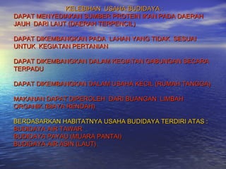 KELEBIHAN USAHA BUDIDAYA :
DAPAT MENYEDIAKAN SUMBER PROTEIN IKAN PADA DAERAH
JAUH DARI LAUT (DAERAH TERPENCIL)

DAPAT DIKEMBANGKAN PADA LAHAN YANG TIDAK SESUAI
UNTUK KEGIATAN PERTANIAN

DAPAT DIKEMBANGKAN DALAM KEGIATAN GABUNGAN SECARA
TERPADU

DAPAT DIKEMBANGKAN DALAM USAHA KECIL (RUMAH TANGGA)

MAKANAN DAPAT DIPEROLEH DARI BUANGAN LIMBAH
ORGANIK (BIAYA RENDAH)

BERDASARKAN HABITATNYA USAHA BUDIDAYA TERDIRI ATAS :
BUDIDAYA AIR TAWAR
BUDIDAYA PAYAU (MUARA PANTAI)
BUDIDAYA AIR ASIN (LAUT)
 
