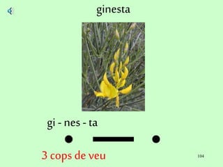 104
ginesta
gi - nes - ta
3 cops de veu
 