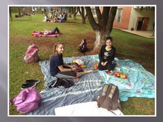 Piquenique Semana das Crianças