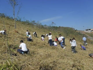 Visita das Crianças ao Projeto gerar 