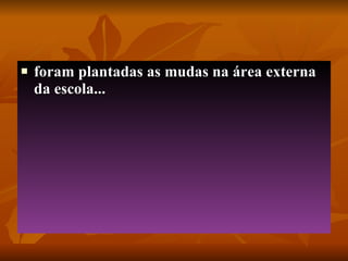 foram plantadas as mudas na área externa da escola... 