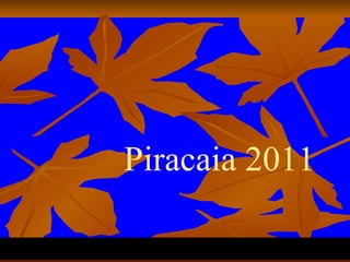 Piracaia 2011 