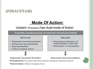 Piracetam | PPT