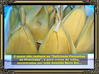 E quem não conhece as “Deliciosas Pamonhas de Piracicaba”, o puro creme do milho, encontradas por toda Avenida Beira Rio... 