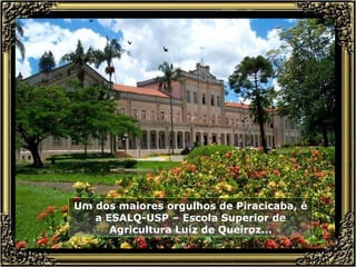 Um dos maiores orgulhos de Piracicaba, é a ESALQ-USP – Escola Superior de Agricultura Luiz de Queiroz... 