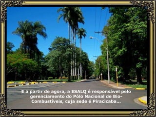 E a partir de agora, a ESALQ é responsável pelo gerenciamento do Pólo Nacional de Bio-Combustíveis, cuja sede é Piracicaba... 