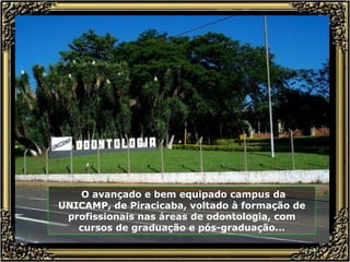 O avançado e bem equipado campus da UNICAMP, de Piracicaba, voltado à formação de profissionais nas áreas de odontologia, com cursos de graduação e pós-graduação... 