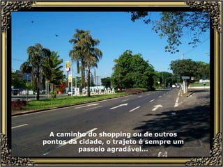 A caminho do shopping ou de outros pontos da cidade, o trajeto é sempre um passeio agradável... 