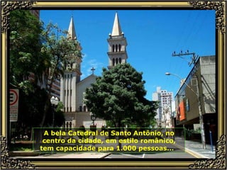 A bela Catedral de Santo Antônio, no centro da cidade, em estilo românico, tem capacidade para 1.000 pessoas...  