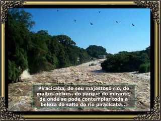 Piracicaba, do seu majestoso rio, de muitos peixes, do parque do mirante, de onde se pode contemplar toda a beleza do salto do rio piracicaba... 