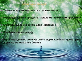    Уклања продукте настале разградњом масти

   Разграђује штетне продукте настале метаболичким процесима

   Спречава бубрежне и уринарне инфекције

   Повећава концентрацију

   Бар 5 чаша дневно смањују ризик од рака дебелог црева, рака
    дојке и рака мокраћне бешике
 