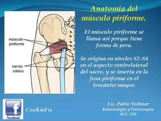 Sindrome del Piramidal o Piriforme
