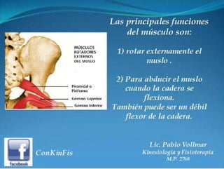 Sindrome del Piramidal o Piriforme