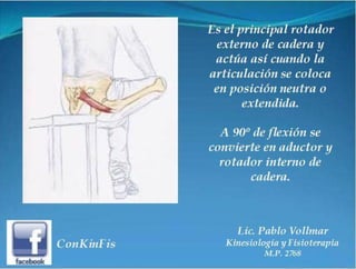 Sindrome del Piramidal o Piriforme